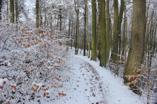 Piesze wędrówki w Trójmiejskim Parku Krajobrazowym